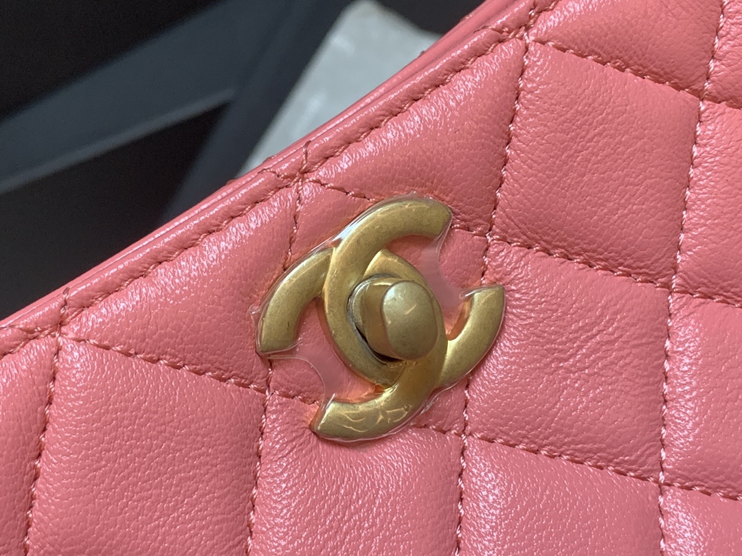 Chanel Hobo Handbag Pink Bag For Women 16cm/6in