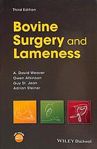 Bovine surgery and lameness