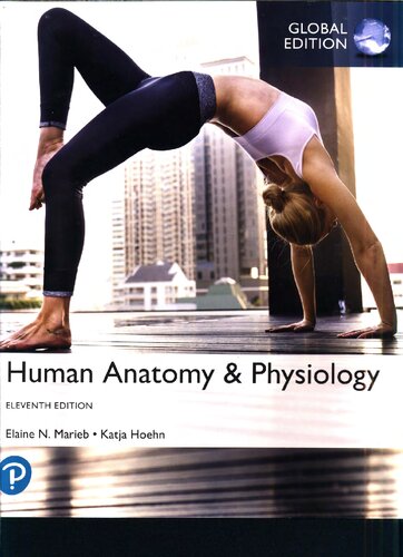 Human Anatomy   Physiology, Global Edition