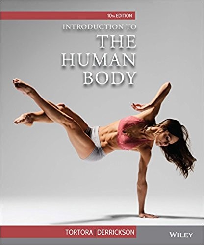 Introduction to the Human Body 10th Edition