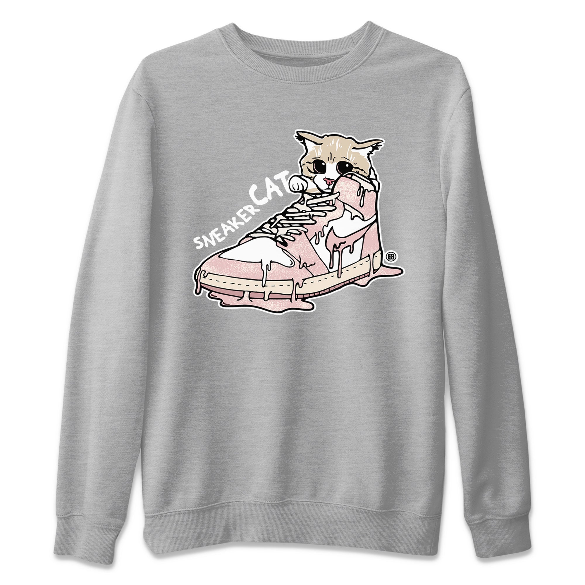 Sneaker Cat Unisex Sweater – Air Jordan 1 Washed Pink, Sneakers Matching Sweater