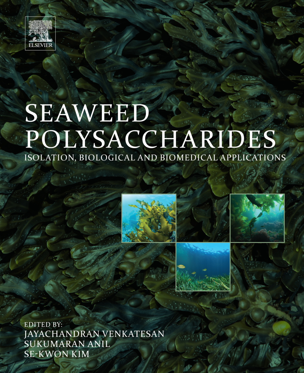 Seaweed Polysaccharides Isolation, Biological and Biomedical Applications 