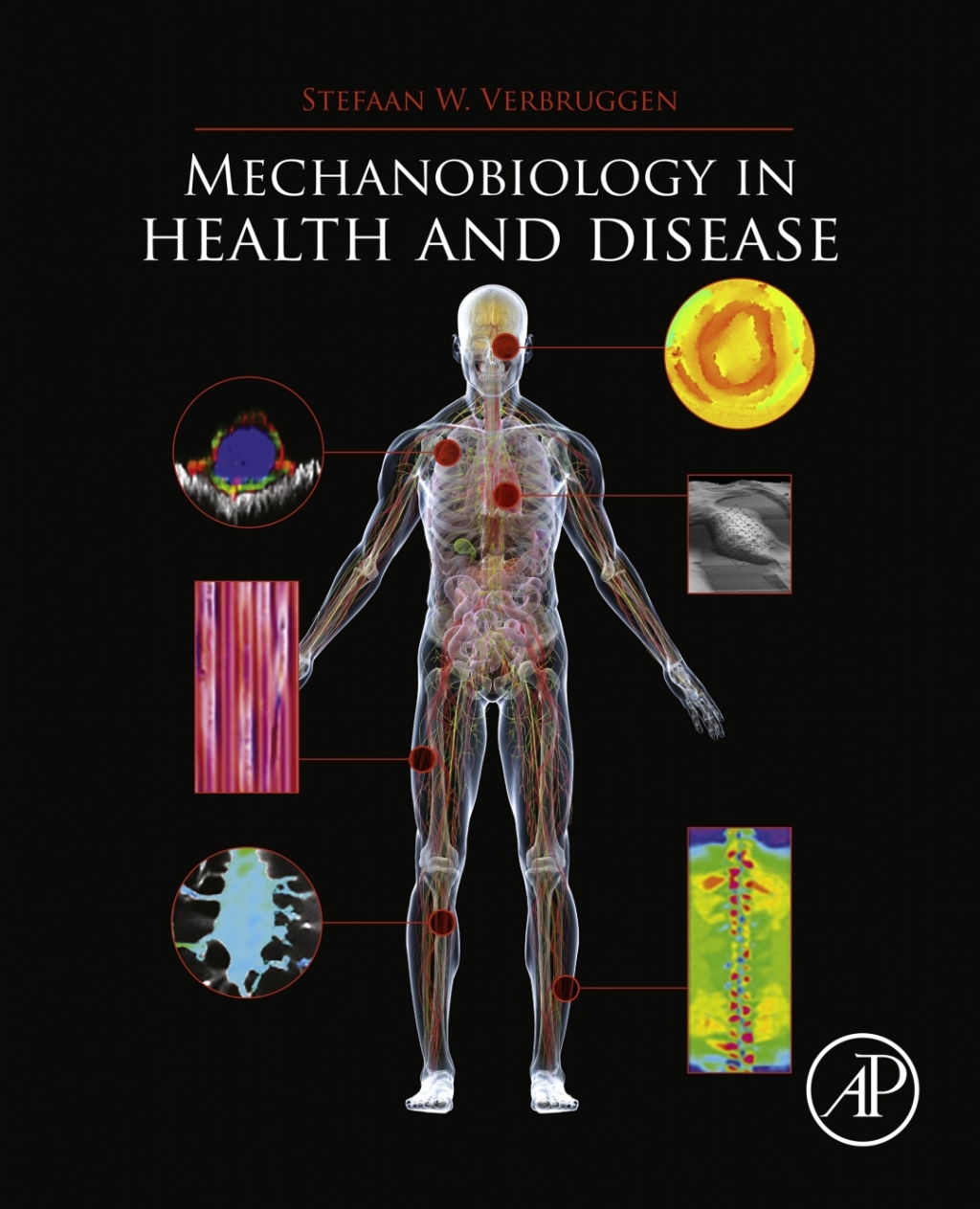 Mechanobiology in Health and Disease 