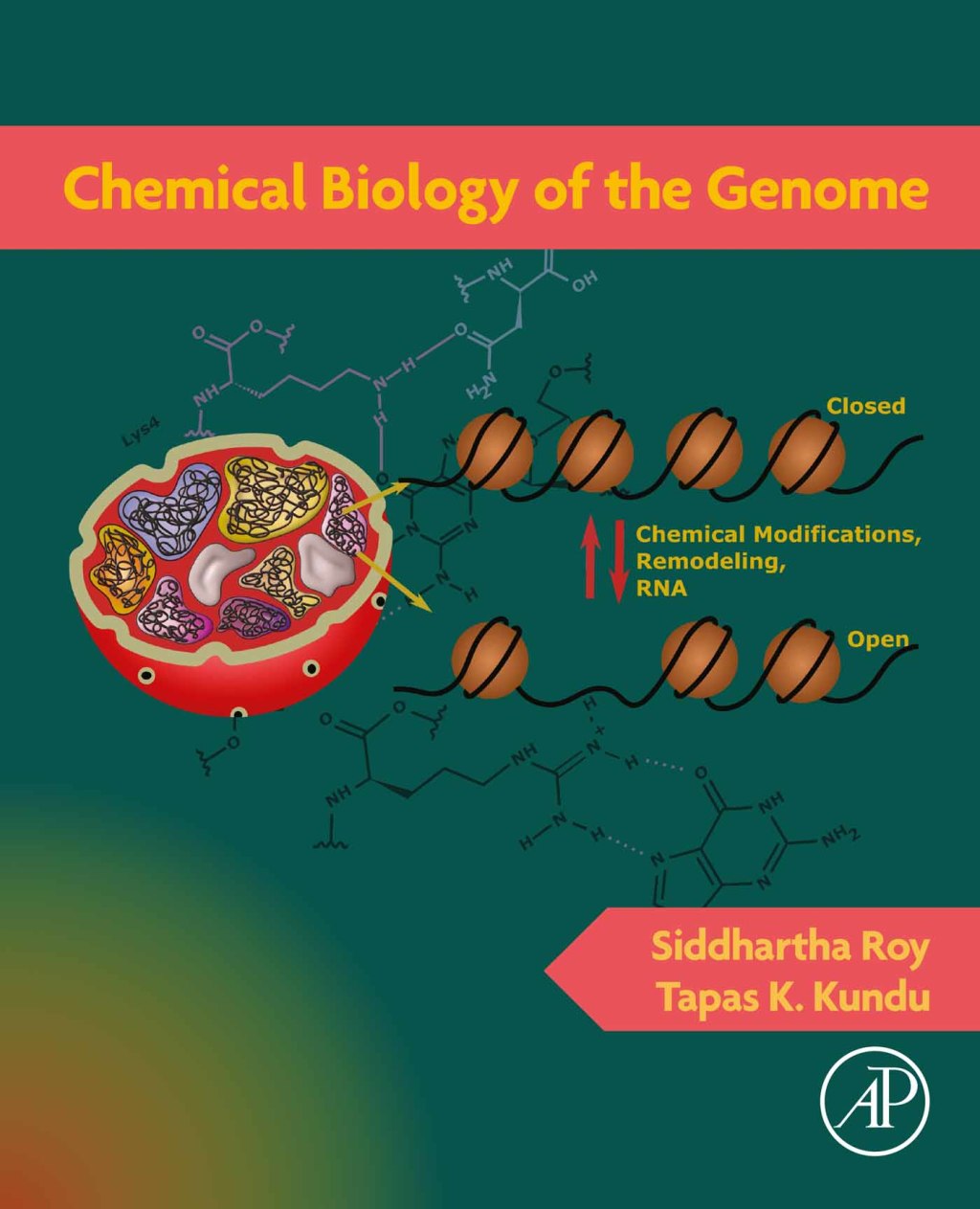 Chemical Biology of the Genome 