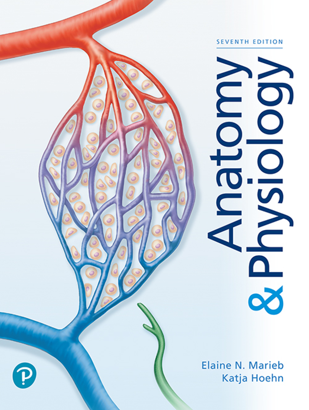 Anatomy & Physiology 7th Edition