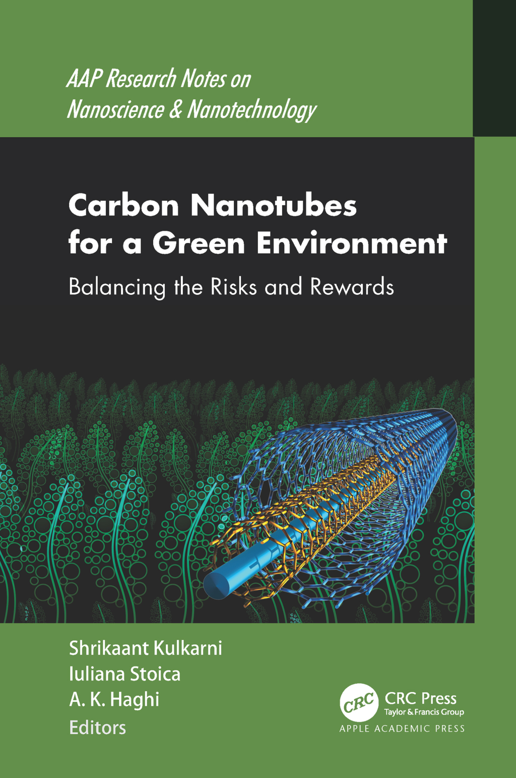 Carbon Nanotubes for a Green Environment Balancing the Risks and Rewards 1st Edition