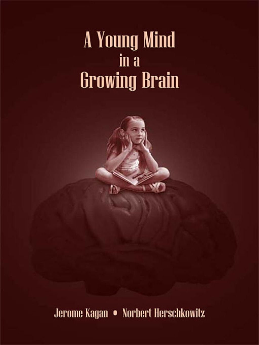 A Young Mind in a Growing Brain 1st Edition