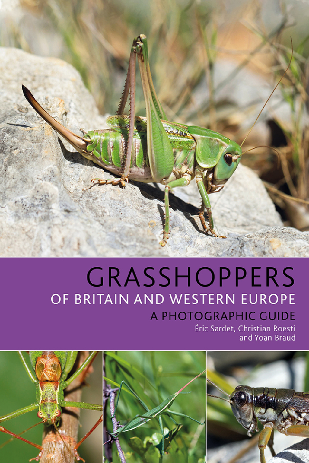 Grasshoppers of Britain and Western Europe A Photographic Guide 1st Edition