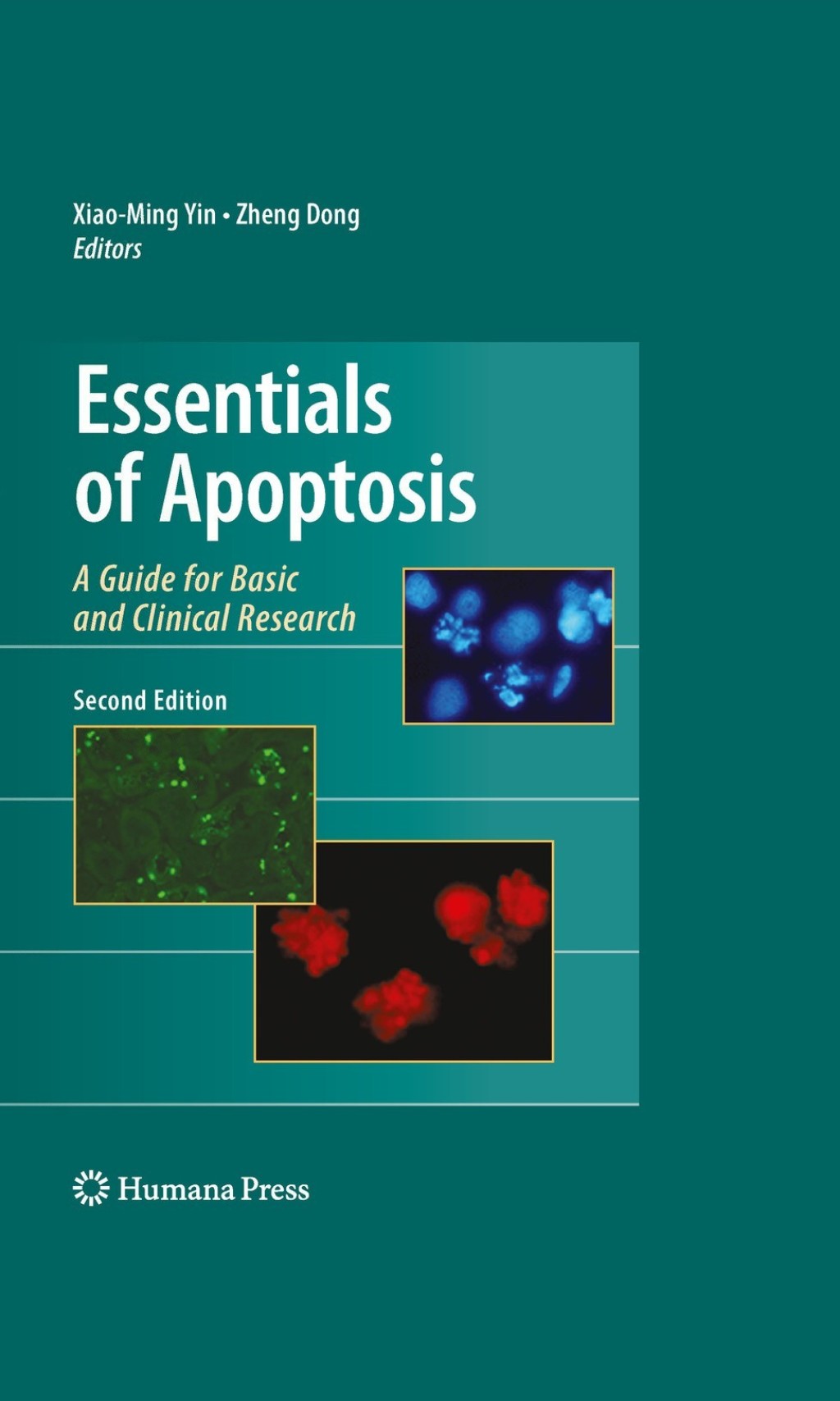 Essentials of Apoptosis A Guide for Basic and Clinical Research 2nd Edition