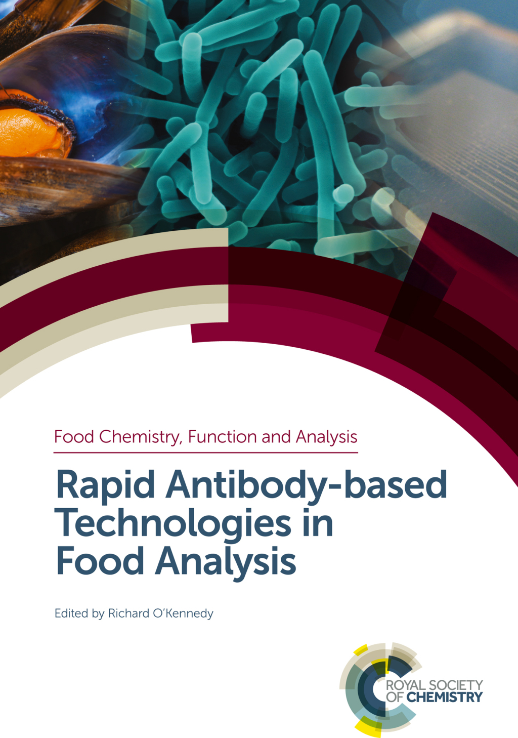 Rapid Antibody-based Technologies in Food Analysis 1st Edition