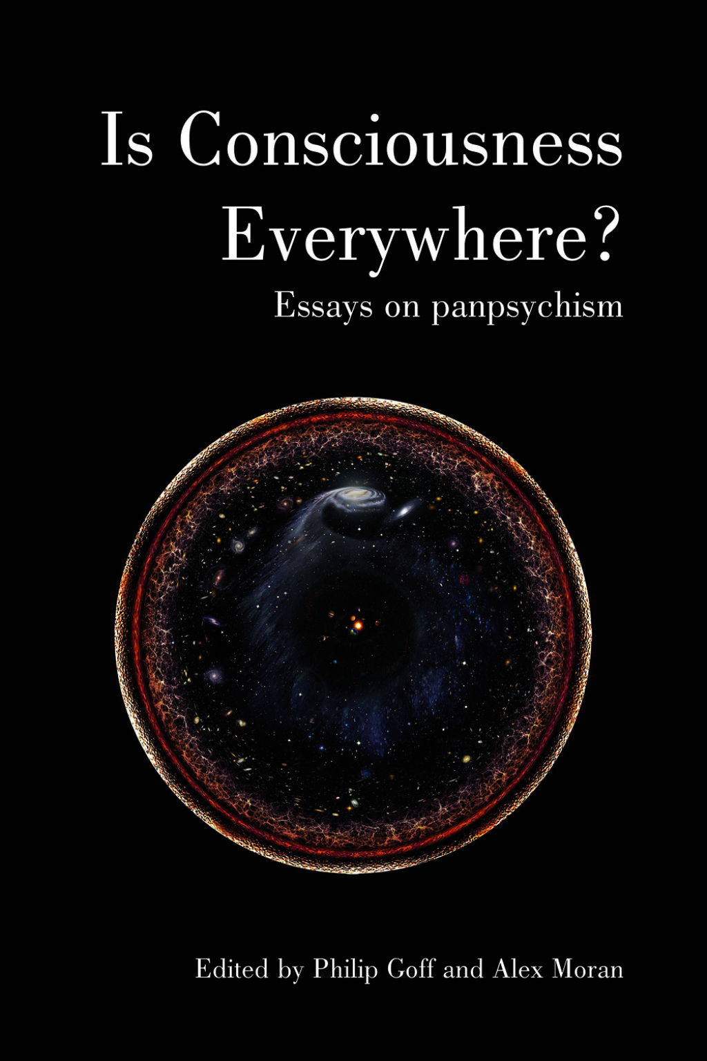 Is Consciousness Everywhere? 1st Edition
