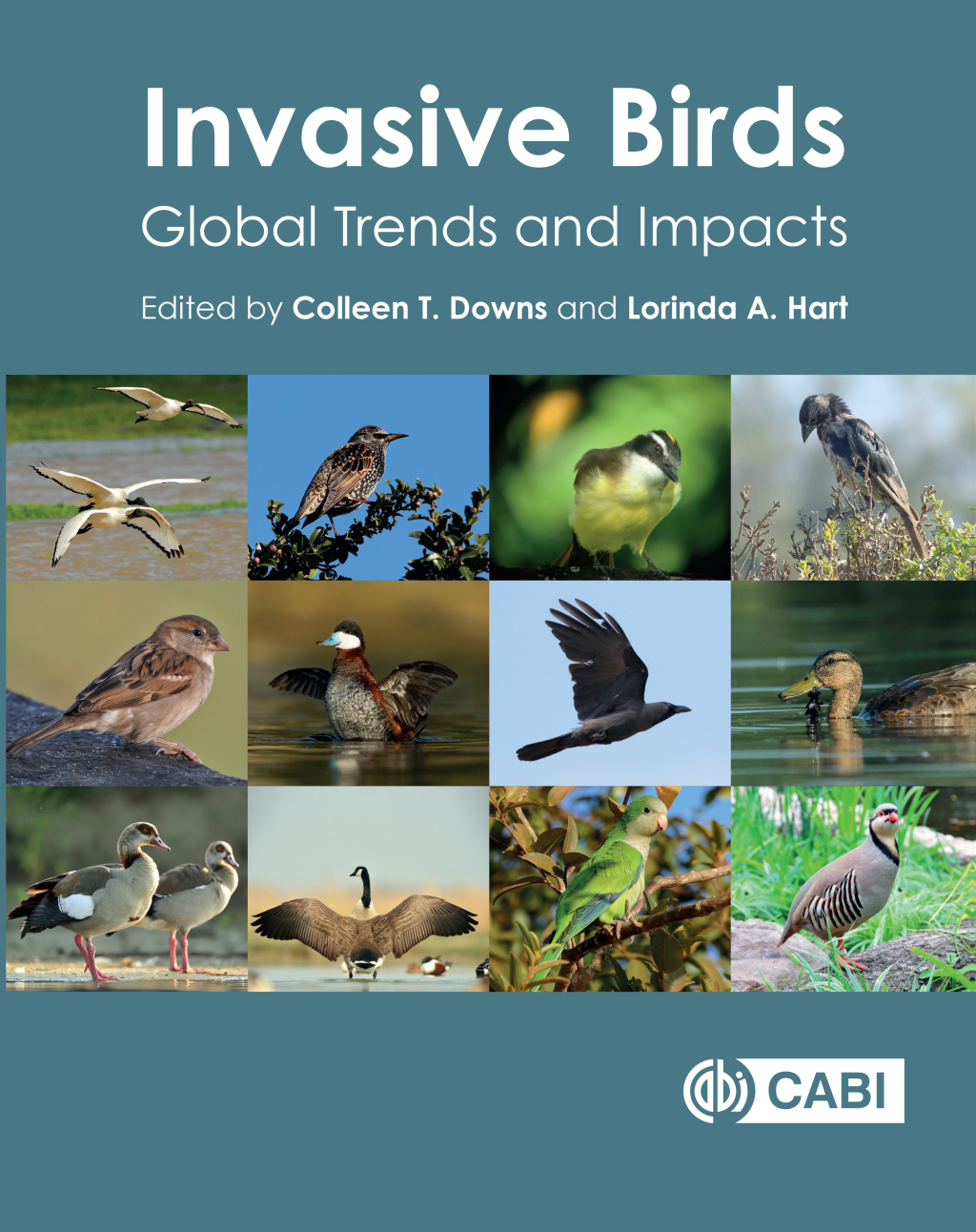 Invasive Birds Global Trends and Impacts 1st Edition