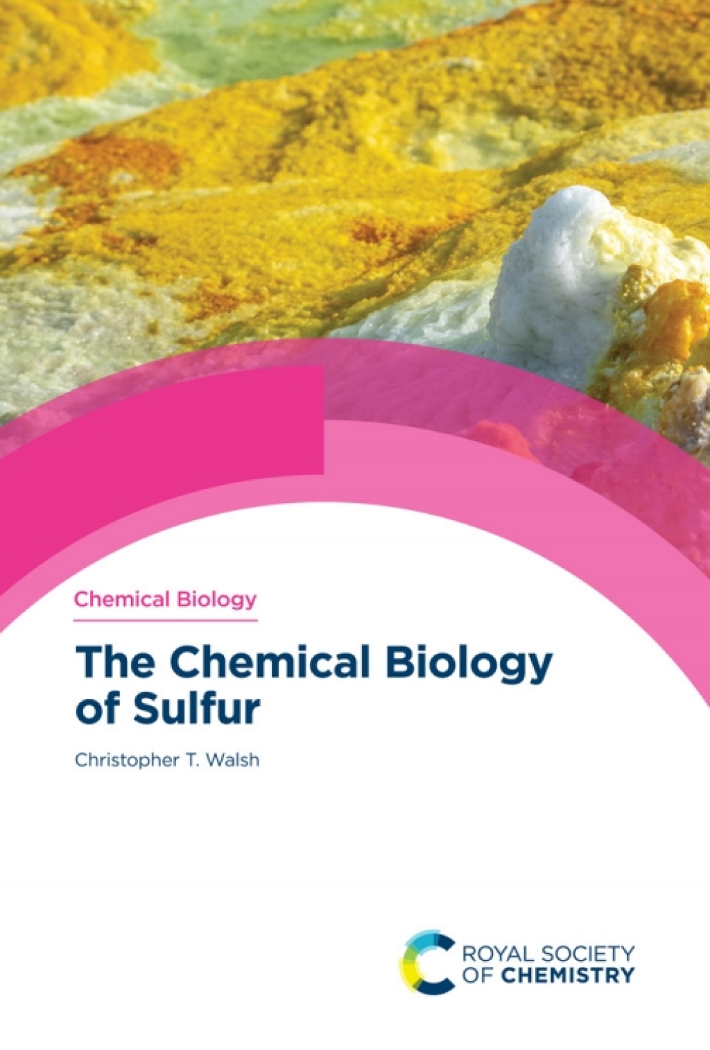 The Chemical Biology of Sulfur 1st Edition