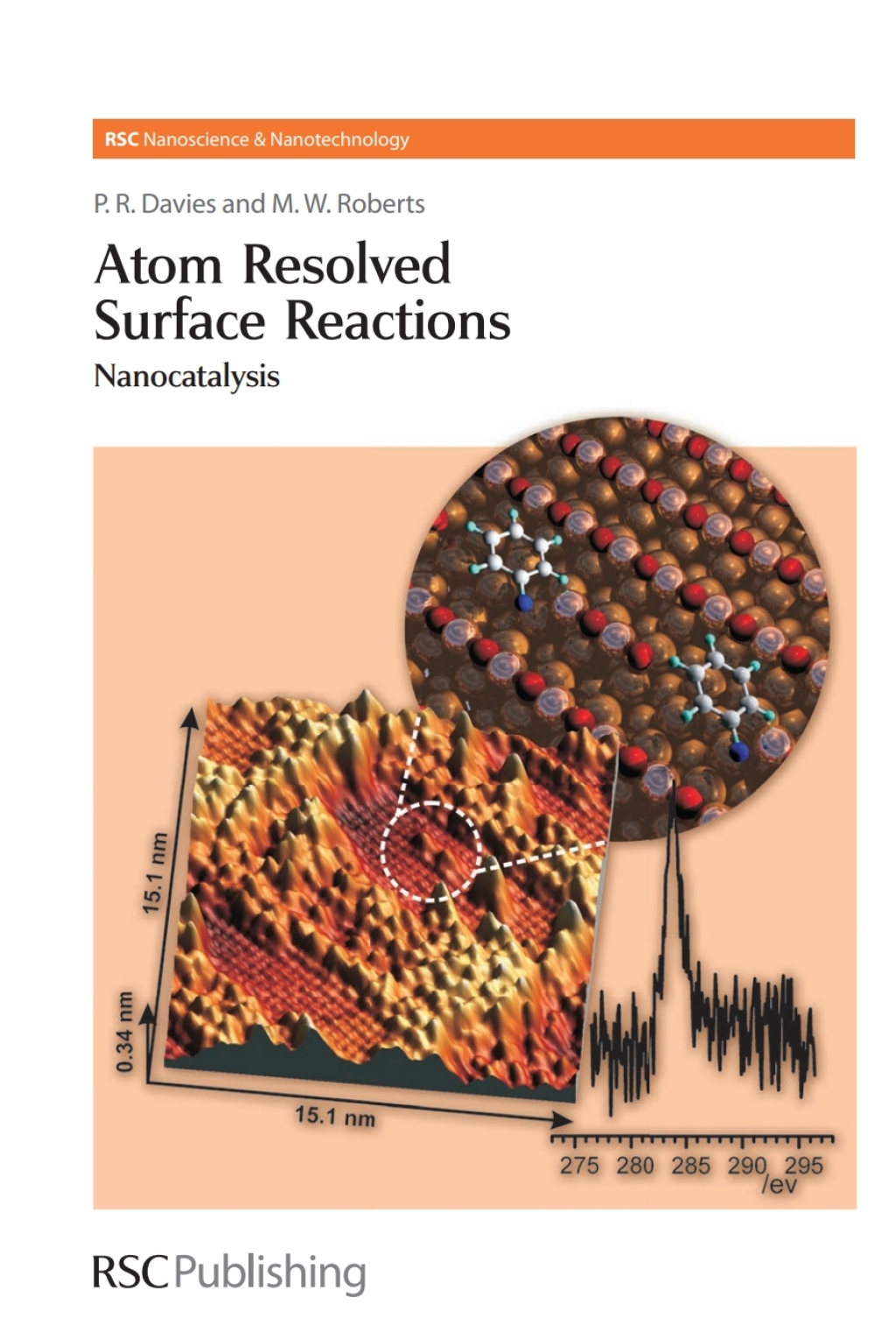 Atom Resolved Surface Reactions Nanocatalysis 1st Edition