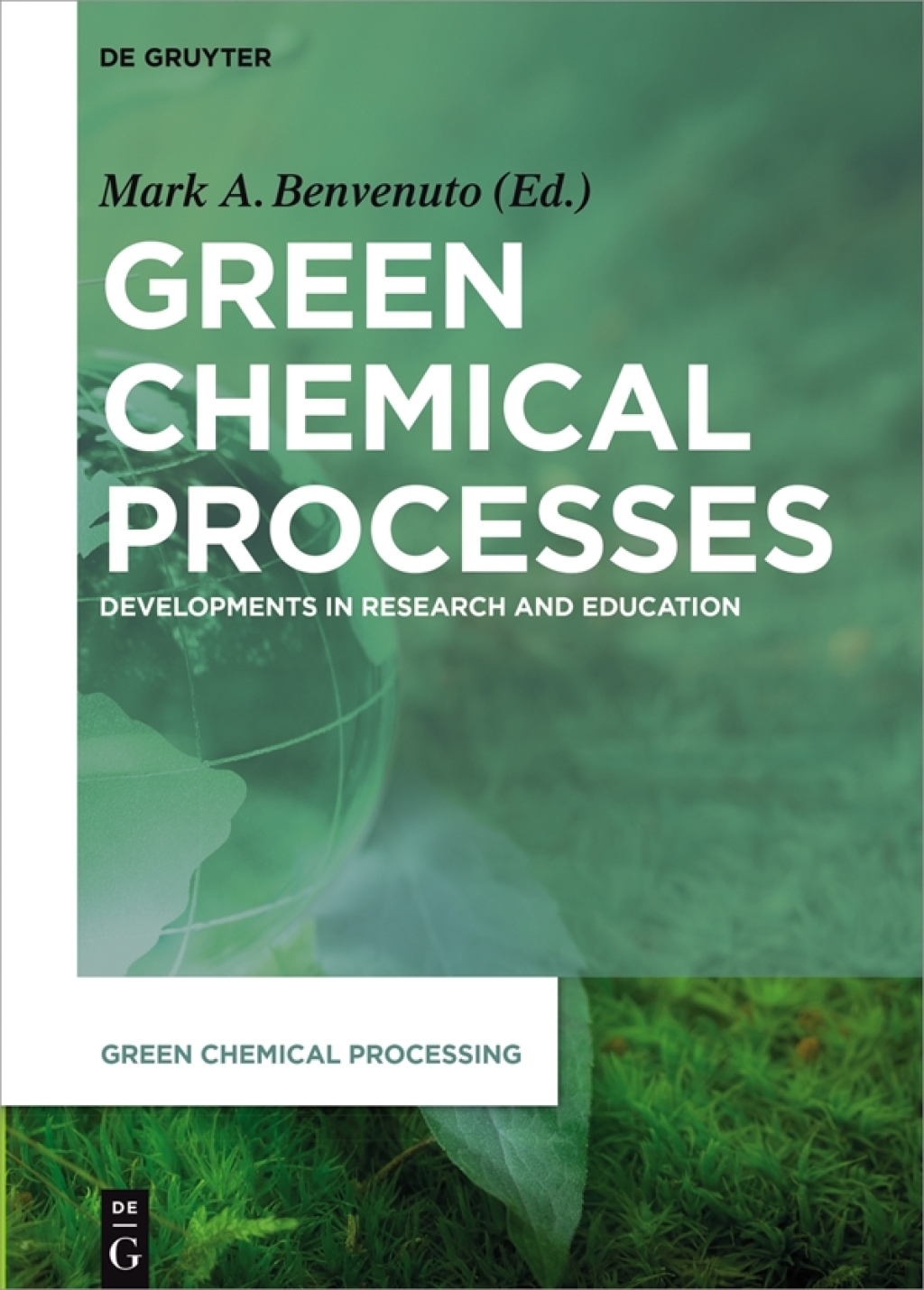 Green Chemical Processes Developments in Research and Education 1st Edition