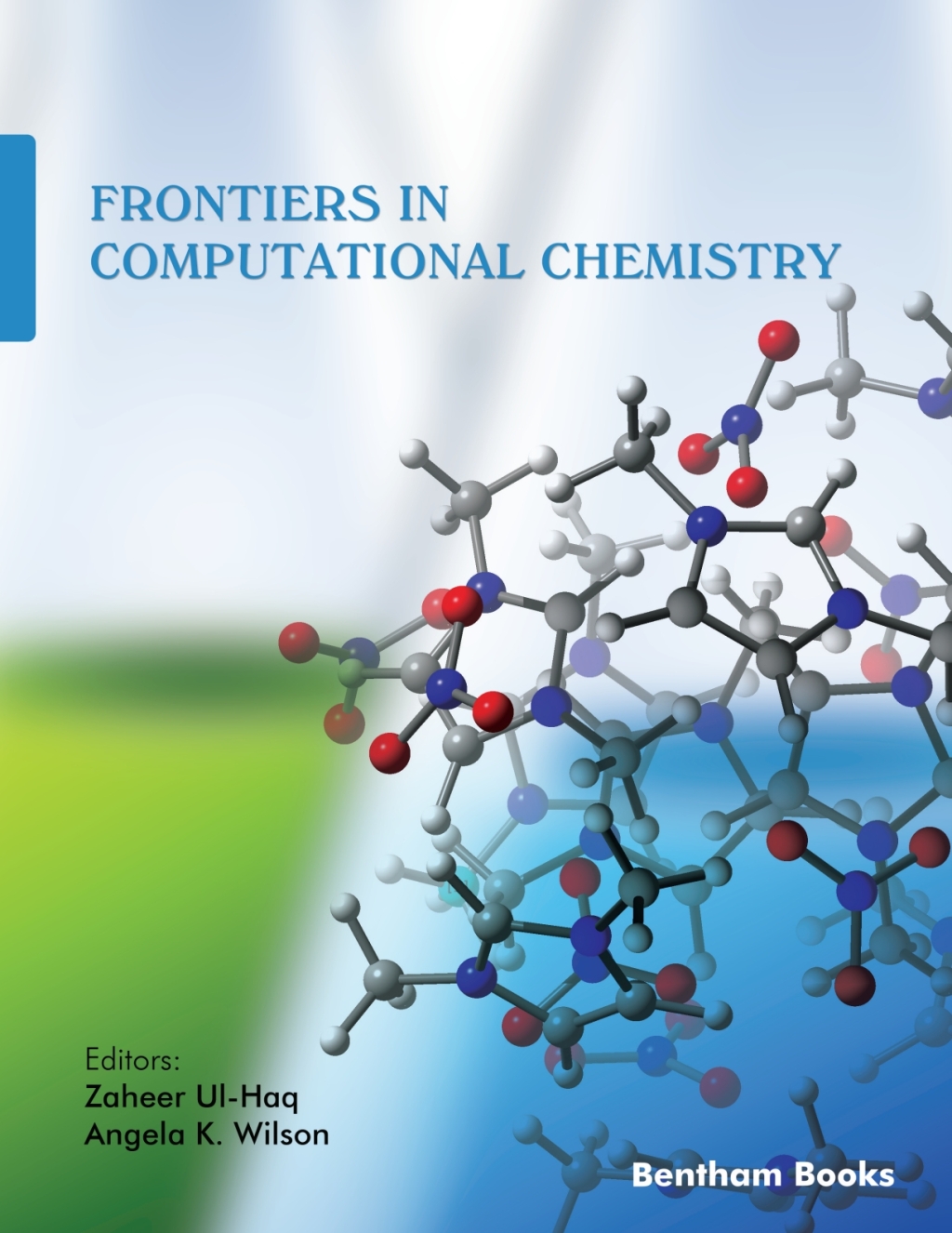 Frontiers in Computational Chemistry: Volume 6 1st Edition